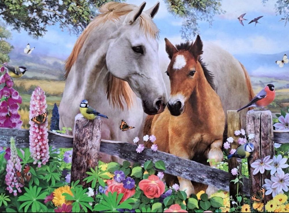 In the Summer Meadow Horse & Foal 🟦 - Falcon de luxe puzzle collectible [Barcode 8710126109748] - Main Image 2