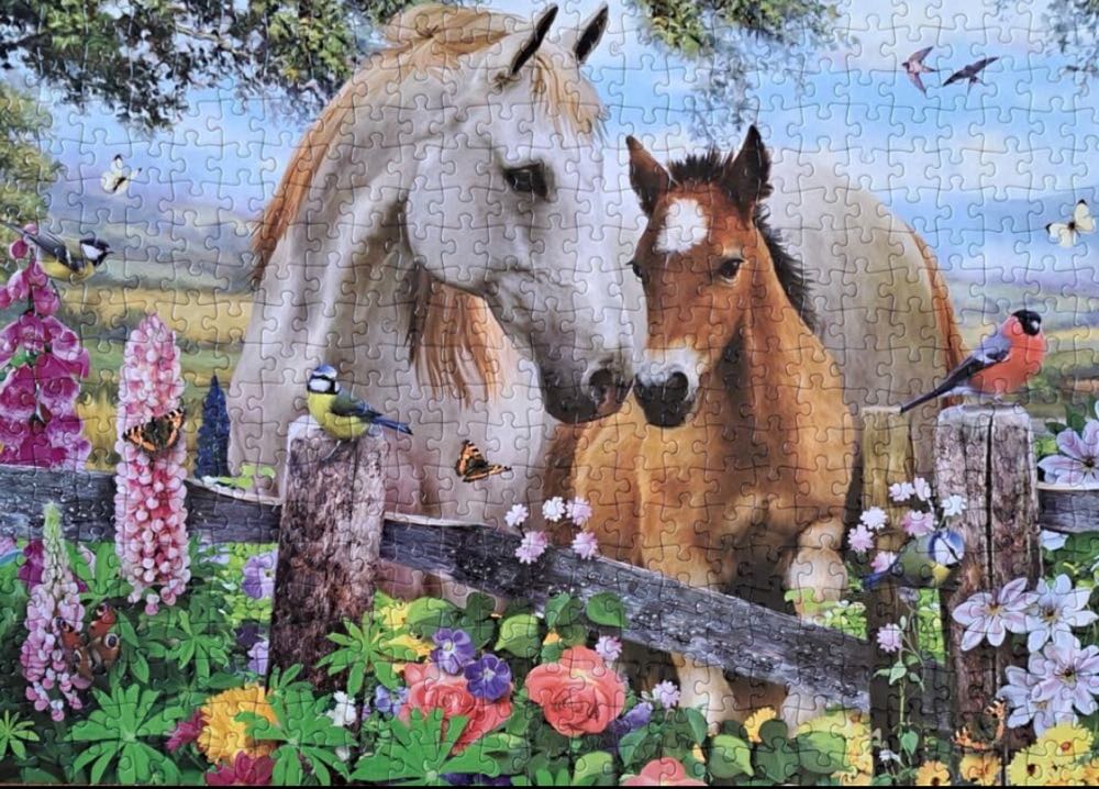 In the Summer Meadow Horse & Foal 🟦 - Falcon de luxe puzzle collectible [Barcode 8710126109748] - Main Image 3