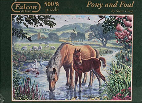 The Little Miracle •