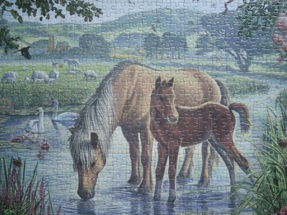 Pony And Foal - Falcon de luxe puzzle collectible [Barcode 8710126110515] - Main Image 3