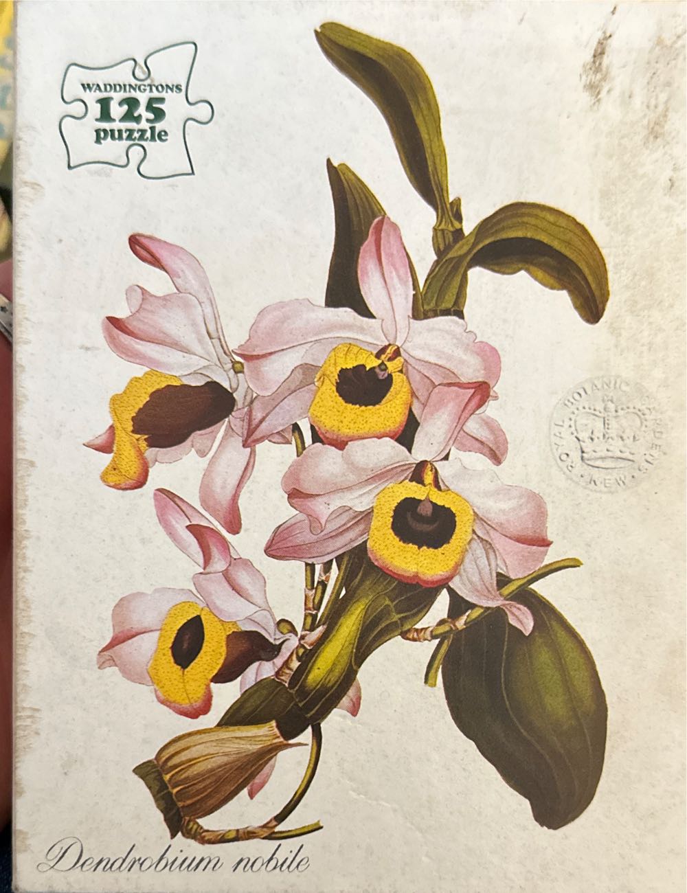 Piece Jigsaw Puzzle Aladdin Moonlight Romance 20 X 29 Inches