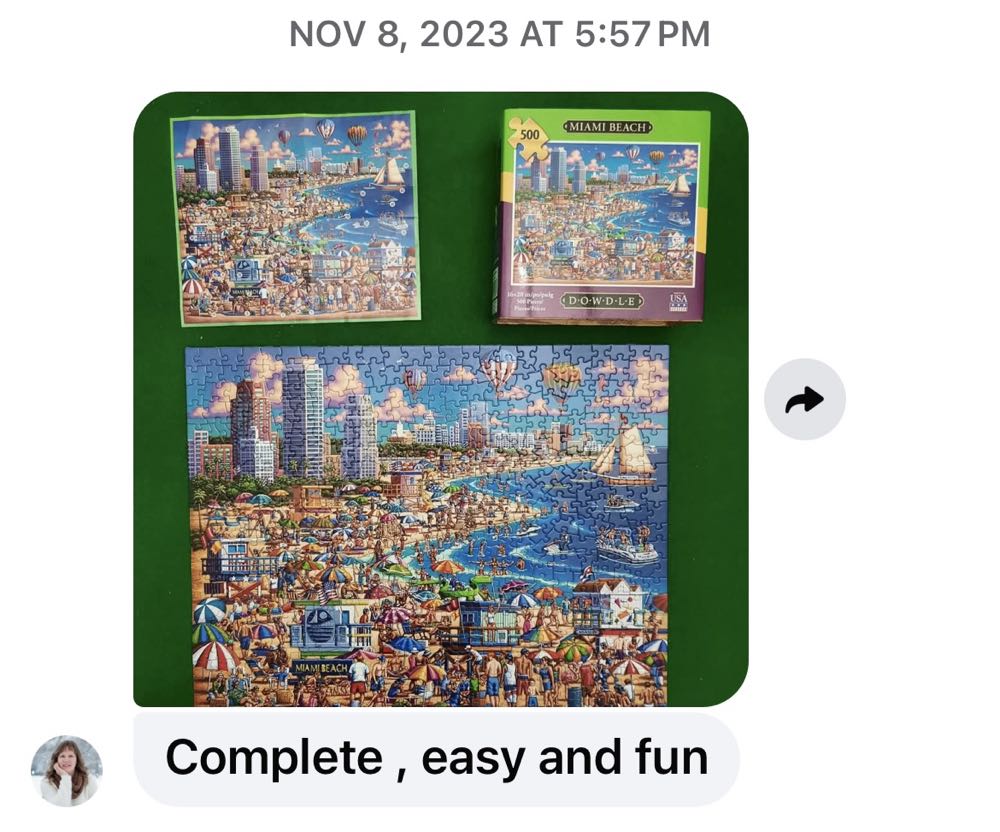 Miami Beach - Dowdle Folk Art puzzle collectible [Barcode 671095203647] - Main Image 3