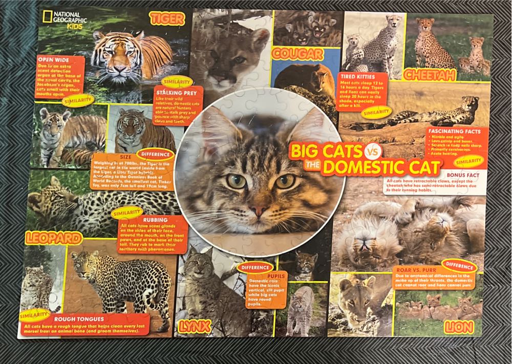 Sunsout Inc O Holy Night Pc Jigsaw Puzzle