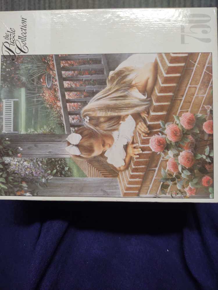 Zz - The Reading Woman - Gone, Did Not Finish