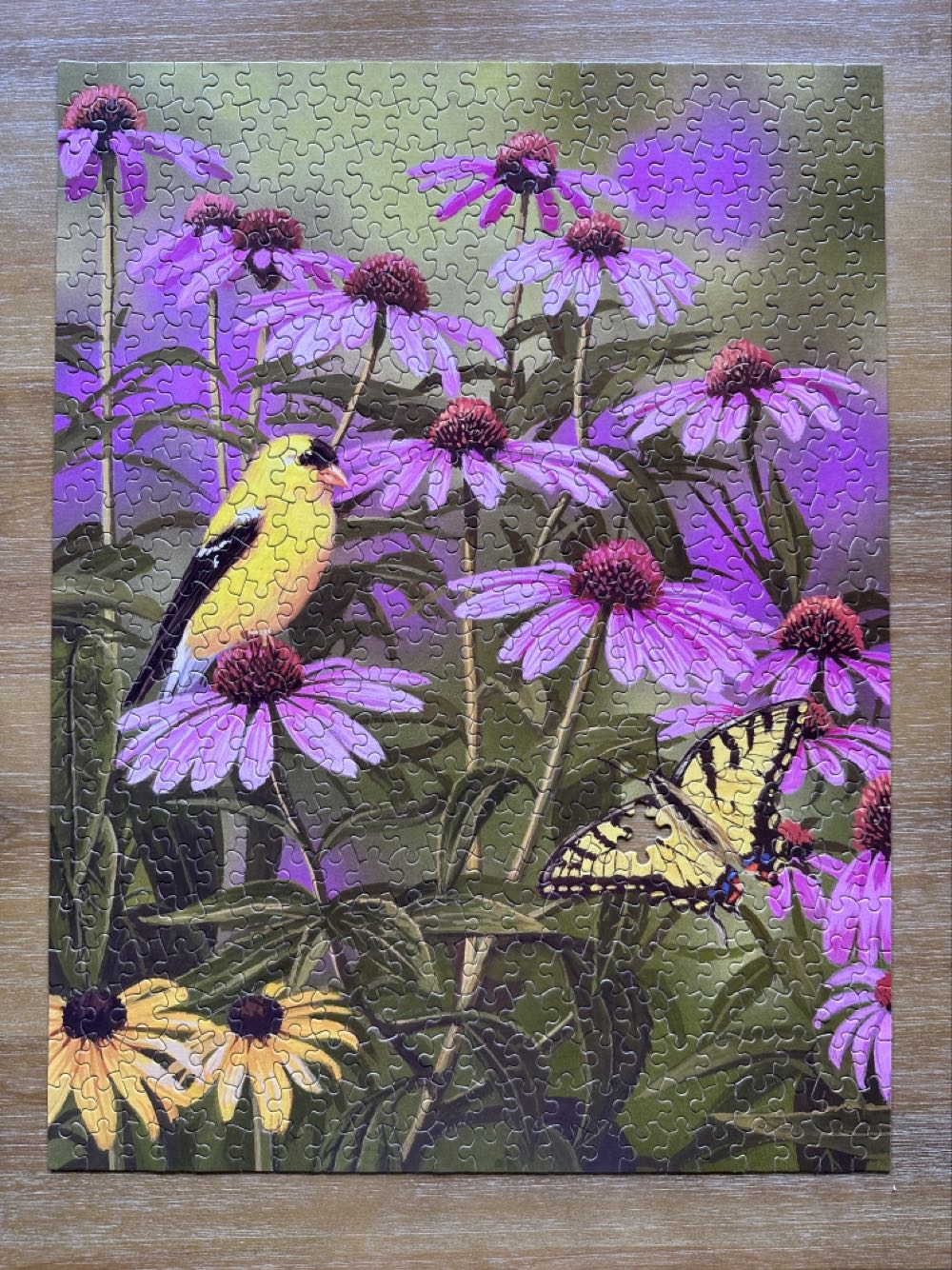 Z - Butterfly & Finch (Travelling Puzzle) - White Mountain Puzzles puzzle collectible [Barcode 724819254347] - Main Image 2