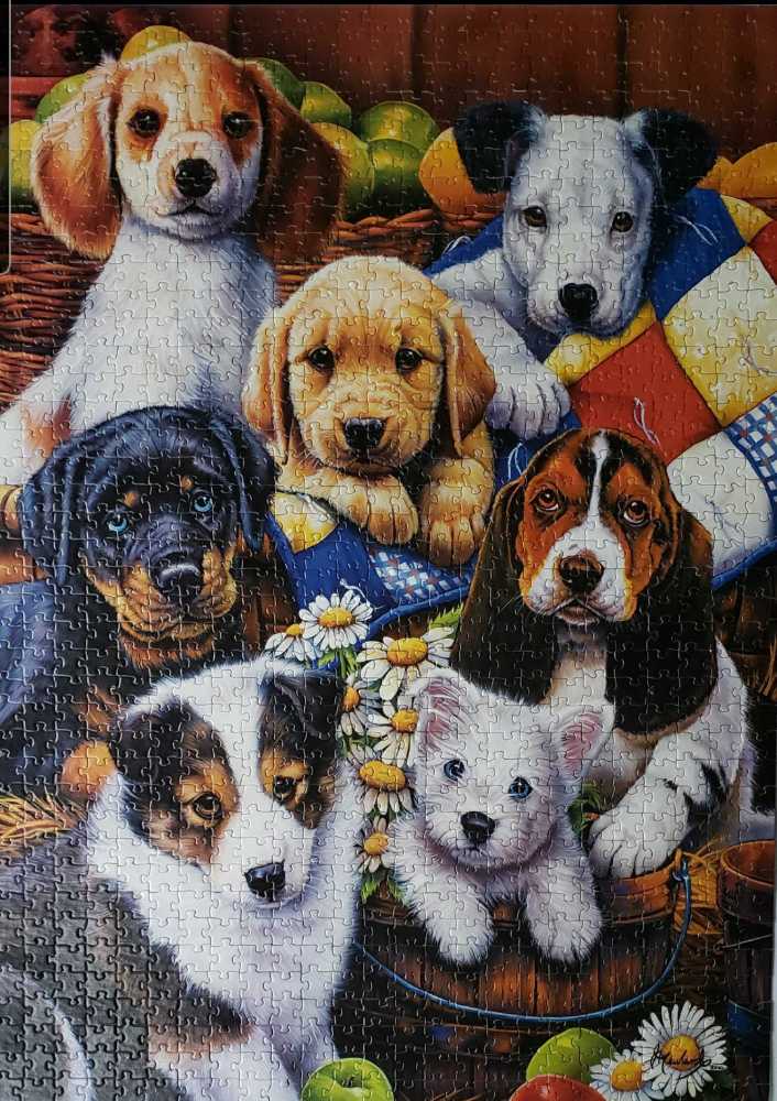 Poppy’s Love - Ravensburger puzzle collectible - Main Image 1