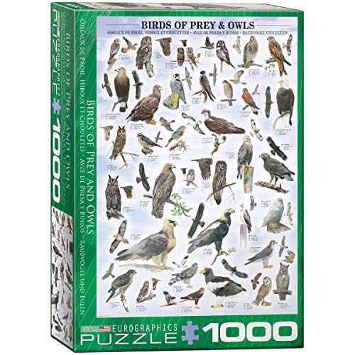 Masterpieces Game Day 500 Piece Jigsaw Puzzle For Adults Nfl Green Bay Packers Locker Room 15”x21”