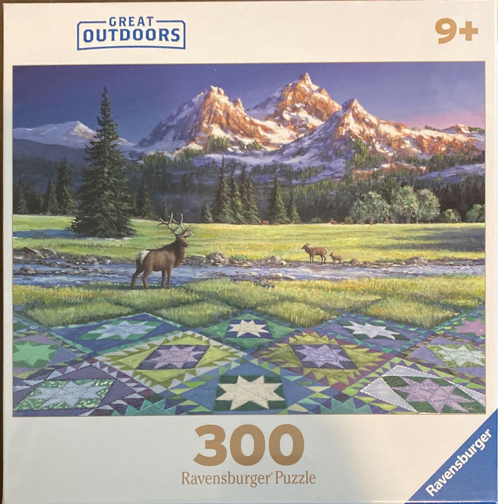 Space Shuttle Orbiter