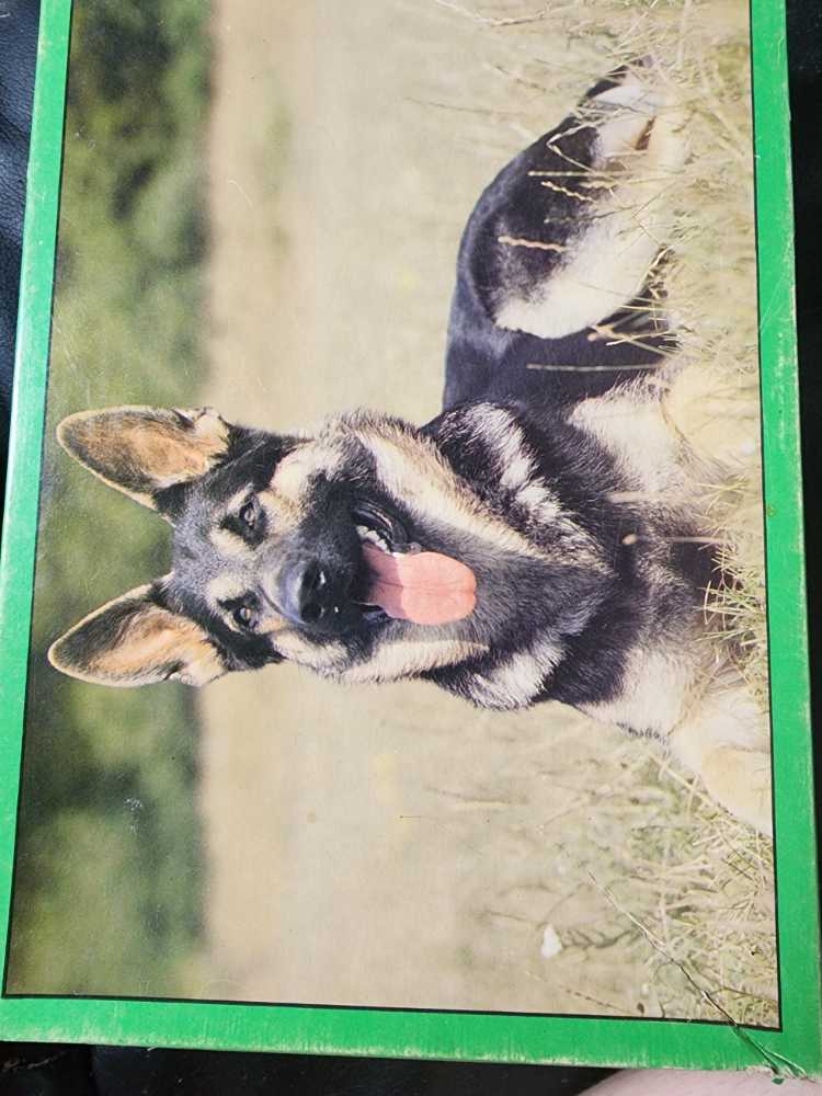 Victoria Wilson Schultz Glitter Puzzle Cardinals On ...