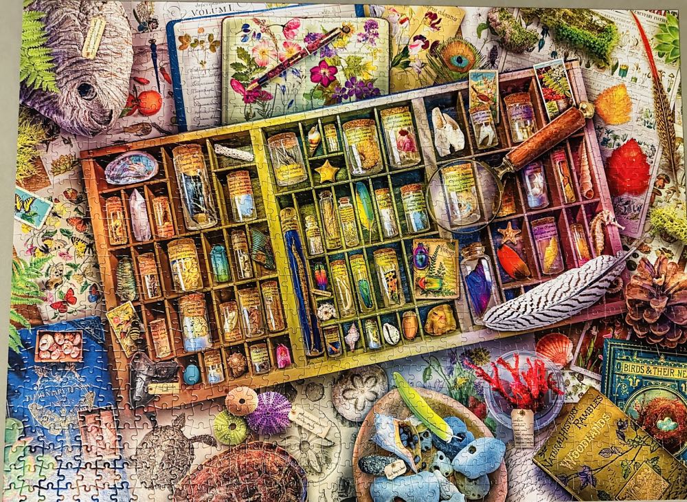 The Naturalist’s Collection (UV) 🧩 - Buffalo puzzle collectible - Main Image 2