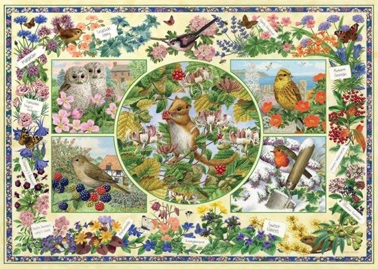 The Country Garden🐦 - Falcon de luxe puzzle collectible [Barcode 8710126111314] - Main Image 2