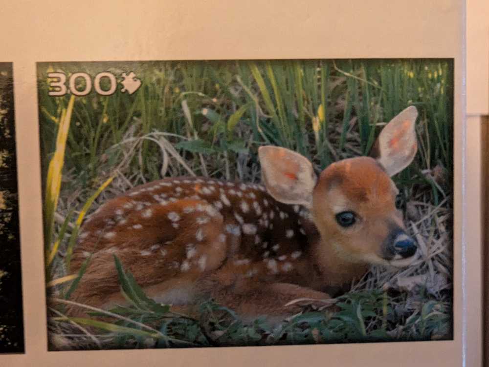 White Tail Deer (24BC-0029) - Sure  Lox puzzle collectible - Main Image 2