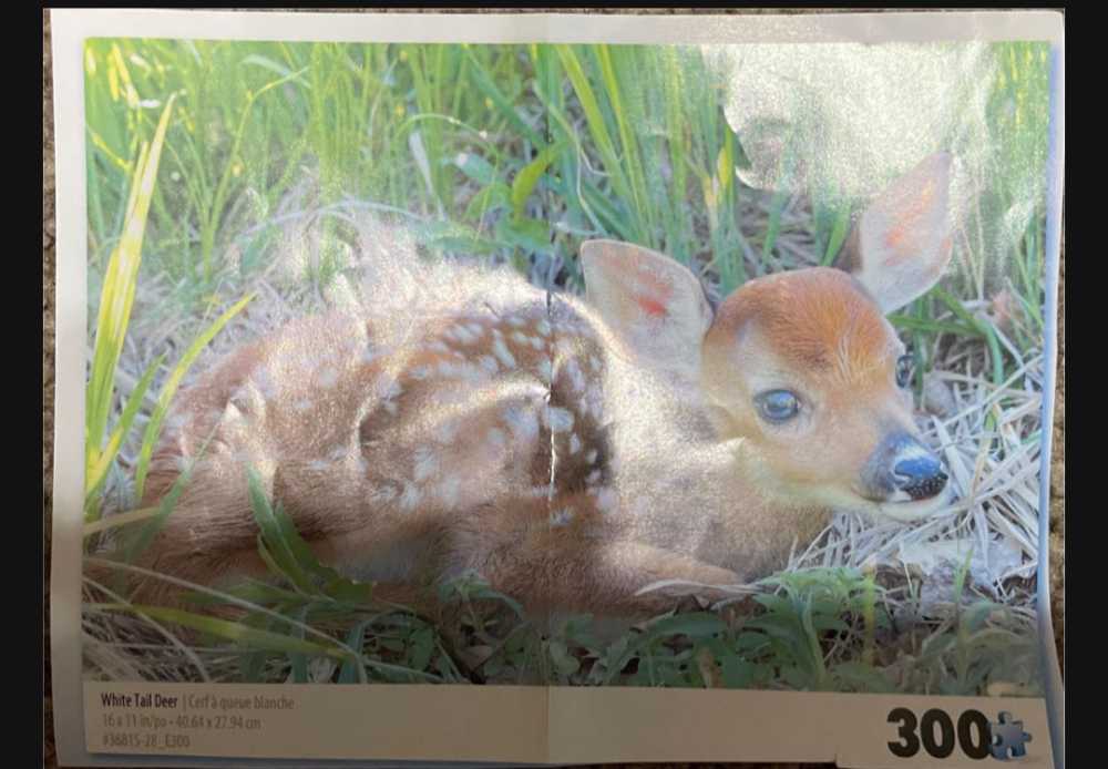 White Tail Deer (24BC-0029) - Sure  Lox puzzle collectible - Main Image 4