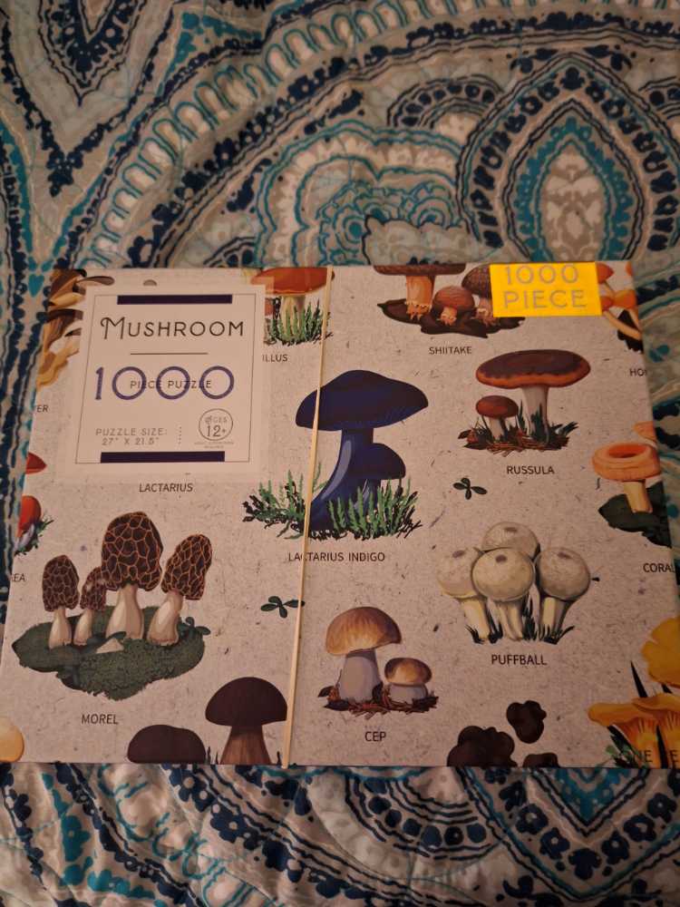 Mushroom - China puzzle collectible [Barcode 842779186154] - Main Image 2