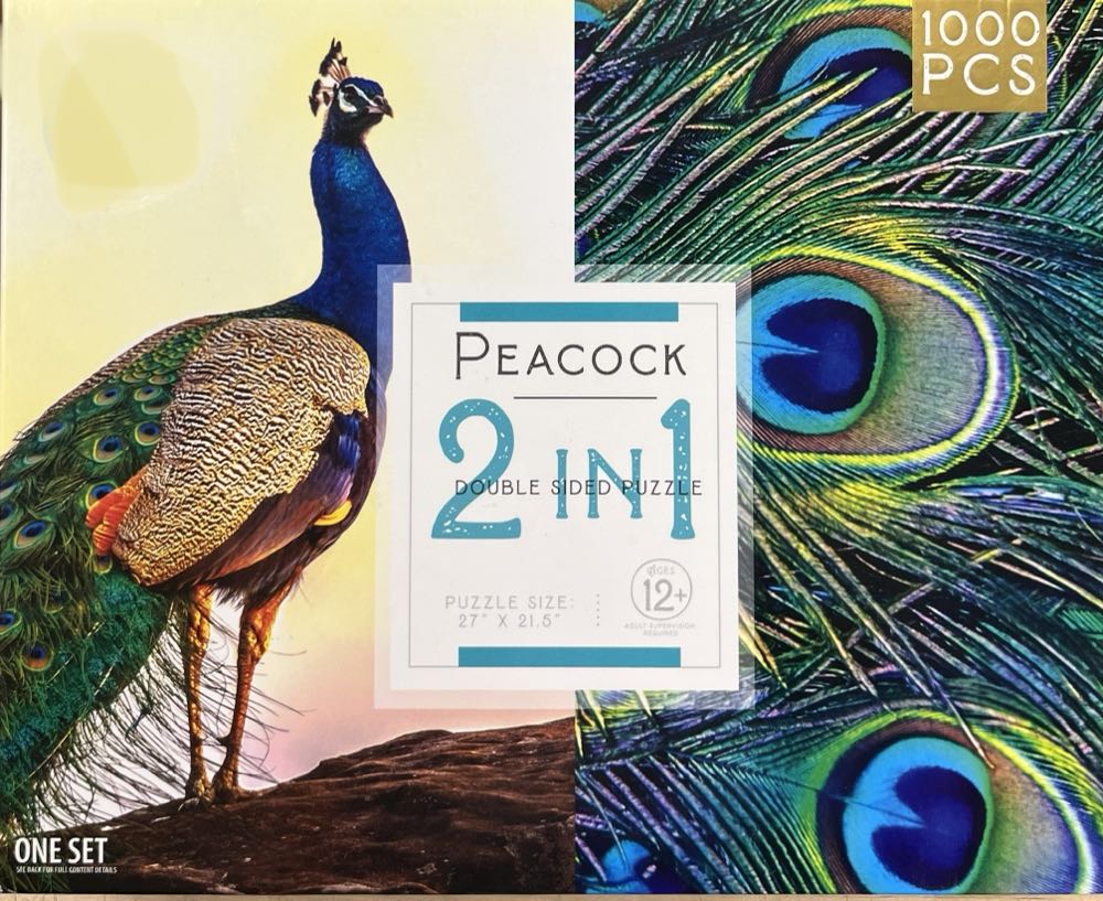 Up On The Roof Top**