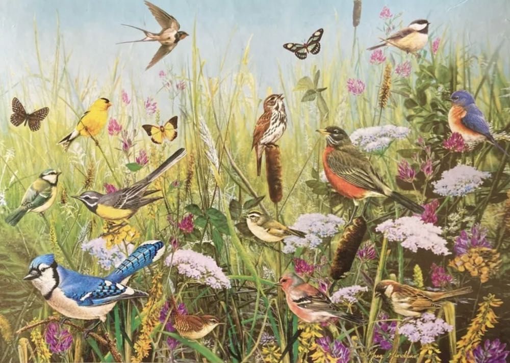 Feathered Friends 🐦 - Gibsons puzzle collectible [Barcode 5012269060140] - Main Image 2