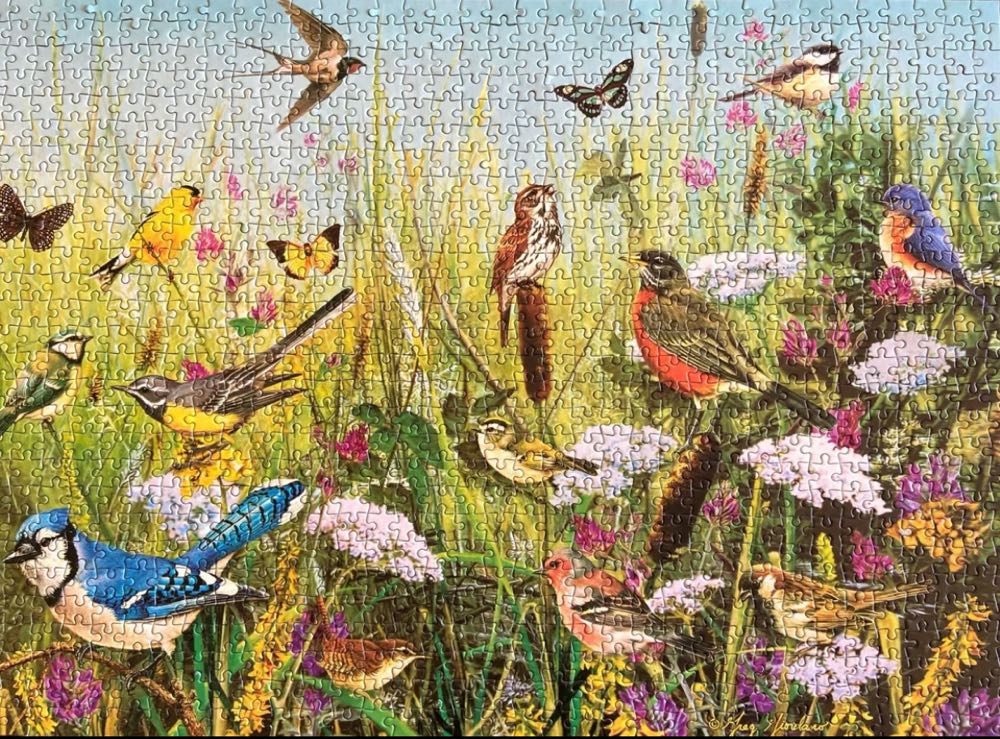 Feathered Friends 🐦 - Gibsons puzzle collectible [Barcode 5012269060140] - Main Image 3