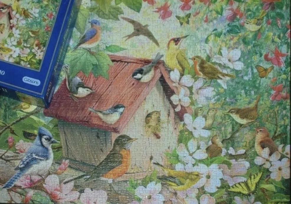Feathered Friends II 🐦 - Gibsons puzzle collectible [Barcode 5012269060157] - Main Image 4