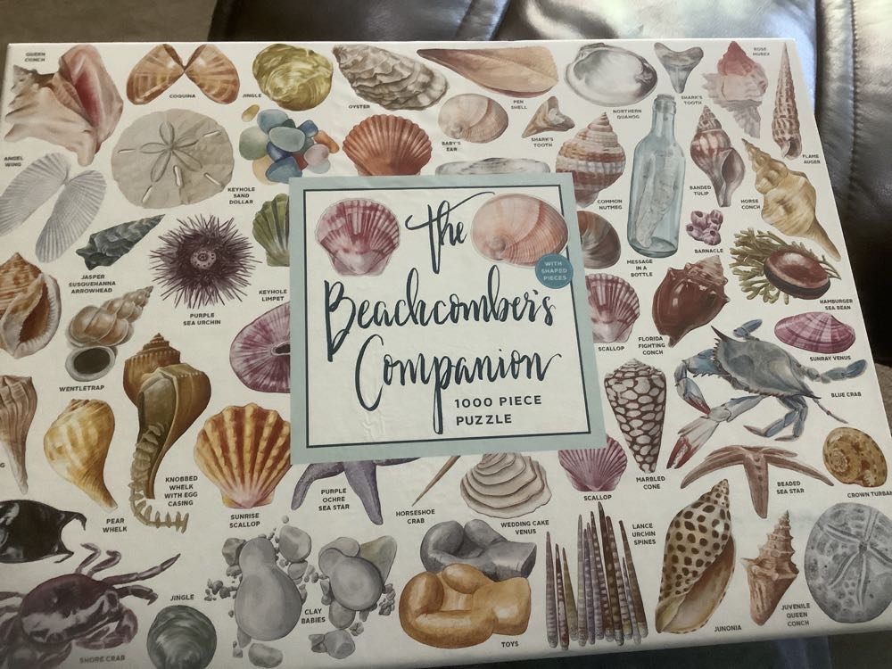 One Hundred Dogs And A Cat