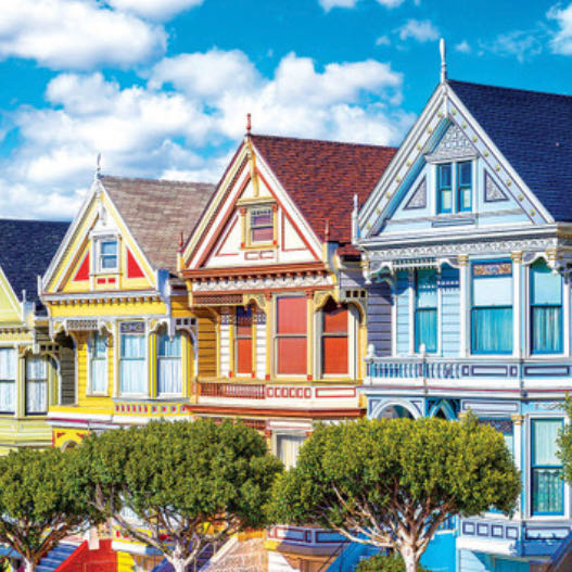 Carolina Panthers Nfl Pzlz Mascot Sir Purr Team Color One Size