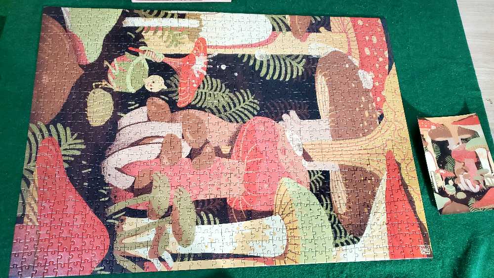 Mushroom Boy - Goodfit puzzle collectible - Main Image 3