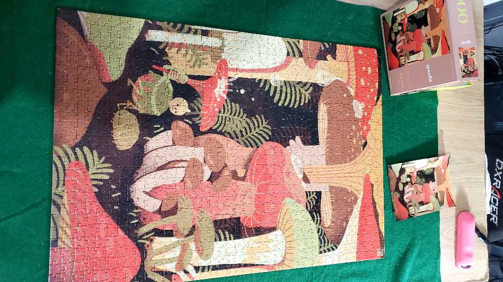 Mushroom Boy - Goodfit puzzle collectible - Main Image 4