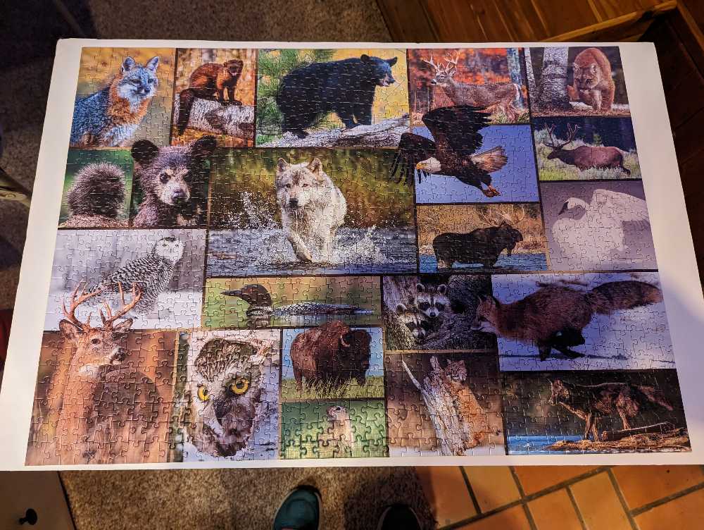 Puzzletwist Jigsaw Puzzle | Into The Wild | Mixed Up! Series | Pieces | Wildlife Animals Family Pastime - Puzzle Twist puzzle collectible [Barcode 614399106115] - Main Image 2