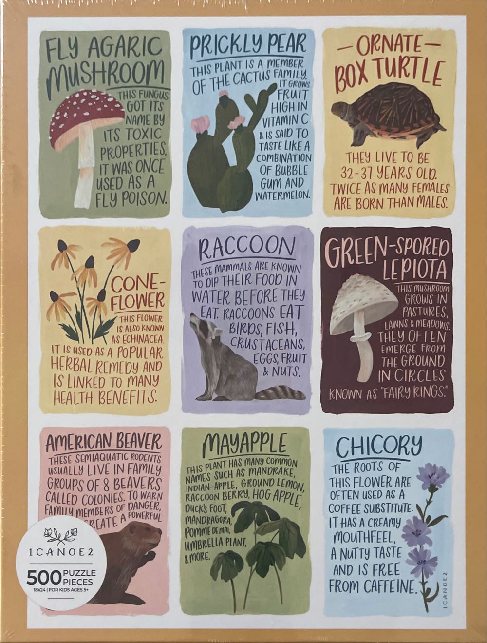 Boise State Football