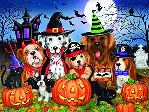 Come Rain, Come Shine