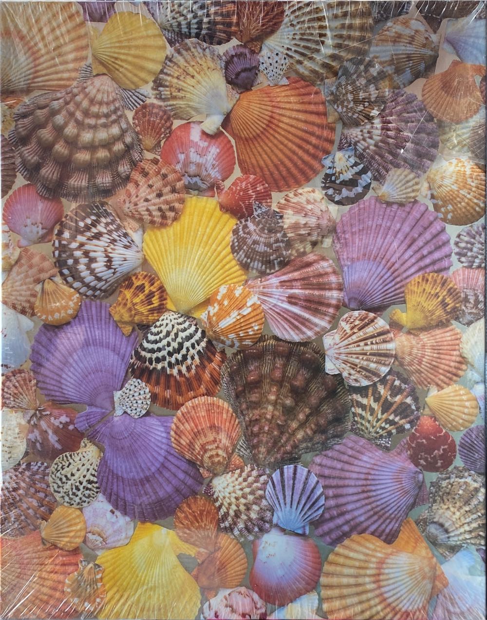 Mediterranean Malta NEW