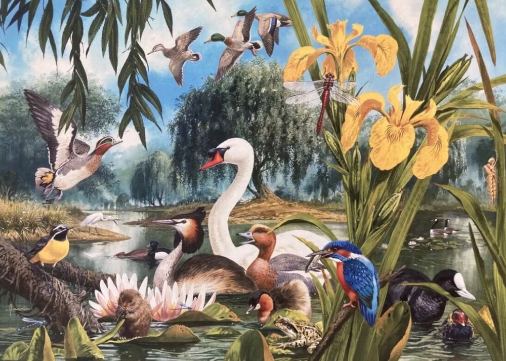 Swan Lake🐦 - Gibsons puzzle collectible [Barcode 5012269060126] - Main Image 2