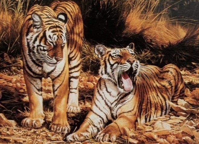 Son & Heir 🟦 - Gibsons puzzle collectible [Barcode 5012269007831] - Main Image 2