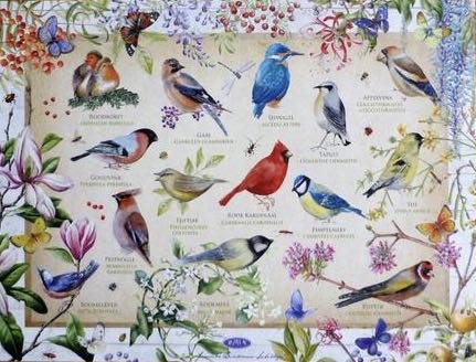 Birds & Flowers 🟦 - Jumbo puzzle collectible [Barcode 8710126821244] - Main Image 2