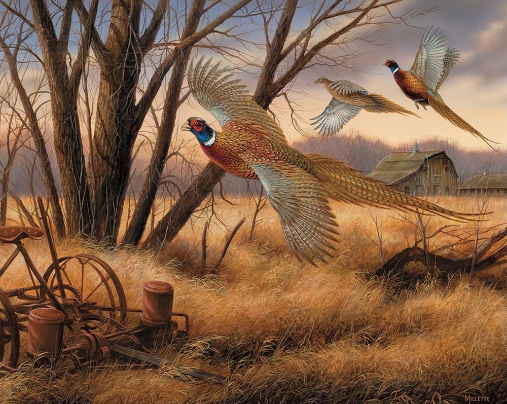 Prairie Wings - White Mountain puzzle collectible [Barcode 724819254972] - Main Image 2