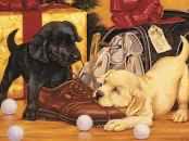 San Francisco California -SOLD