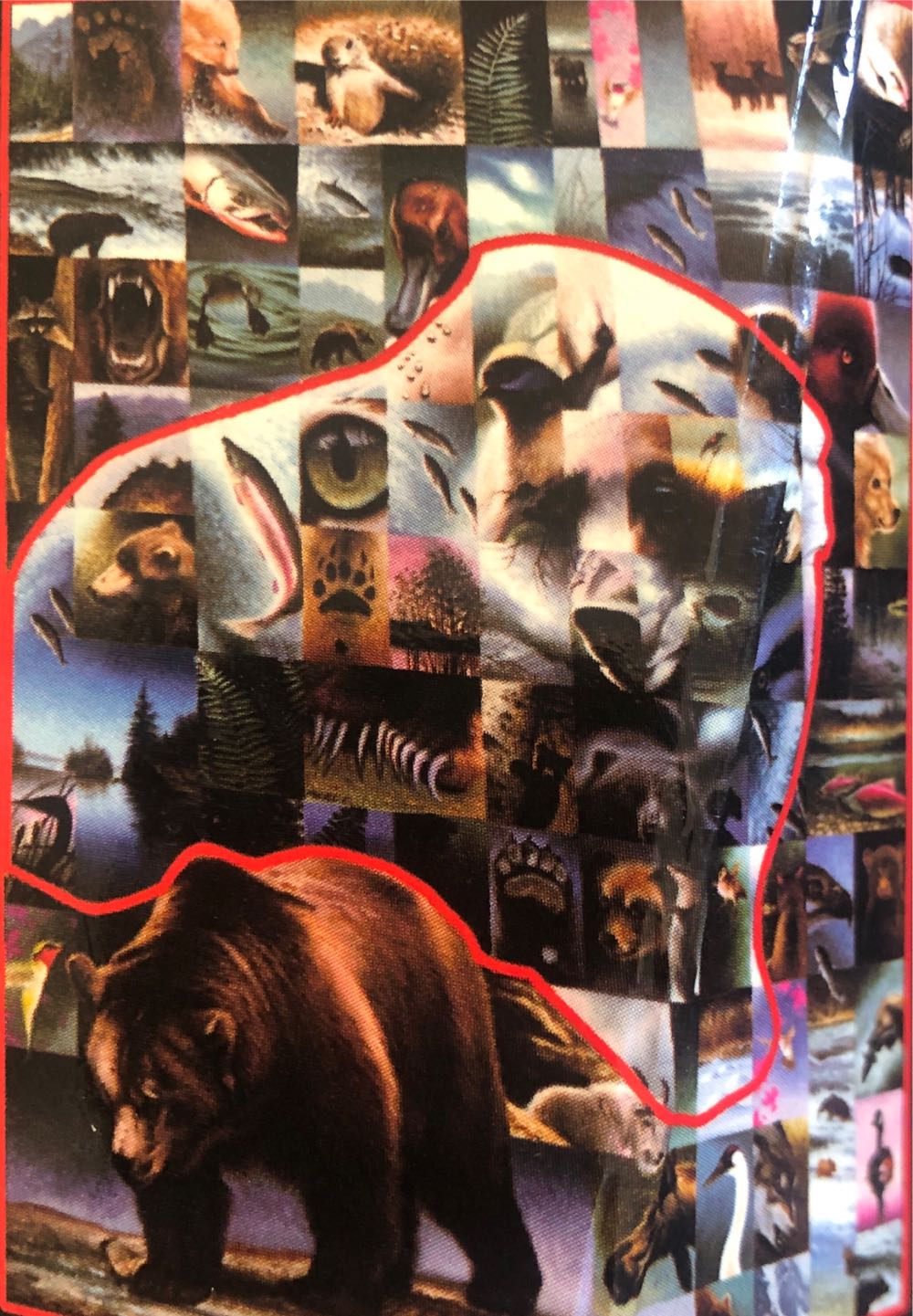 Bear - Schmidt Puzzle puzzle collectible [Barcode 4001504577100] - Main Image 2