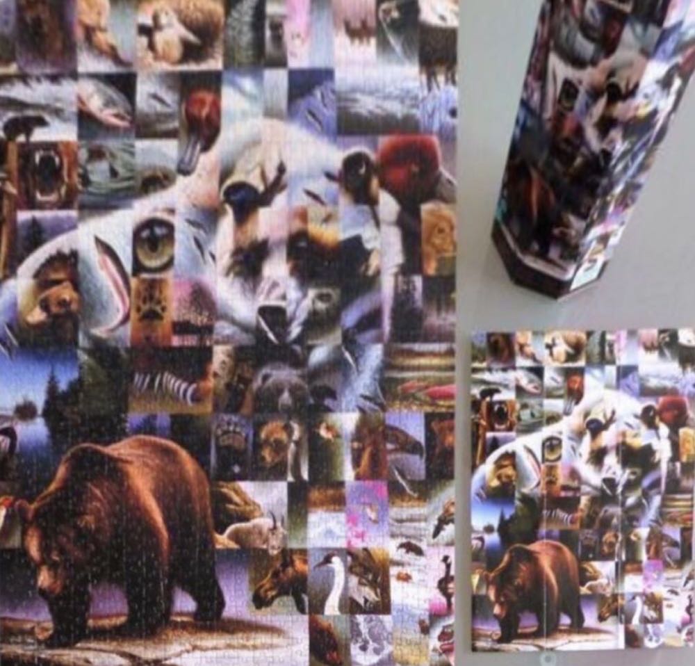 Bear - Schmidt Puzzle puzzle collectible [Barcode 4001504577100] - Main Image 3