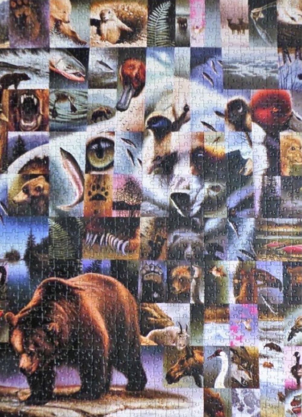 Bear - Schmidt Puzzle puzzle collectible [Barcode 4001504577100] - Main Image 4