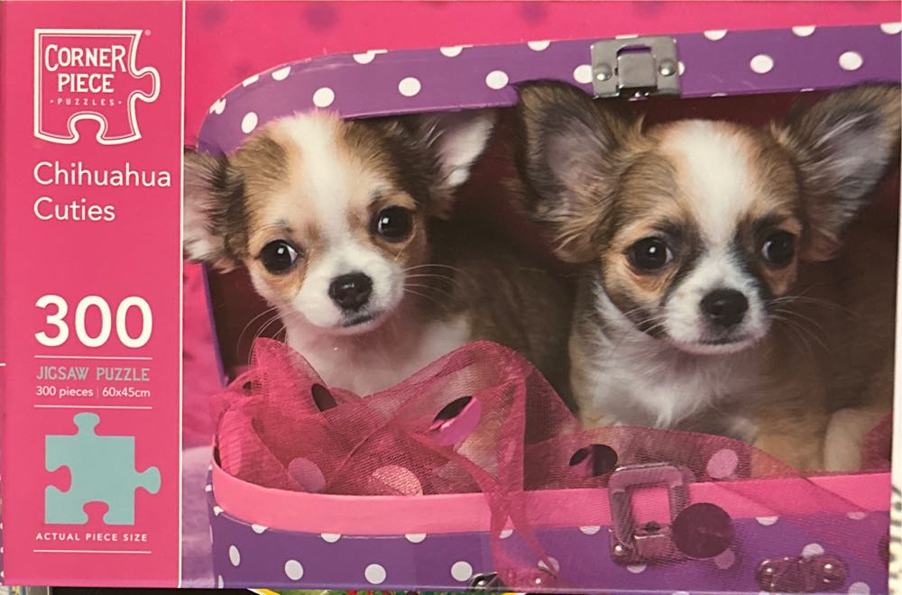 Laughing Boy With Sandwich And Puppy