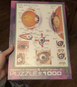 Pacific Whale Foundation - Maui