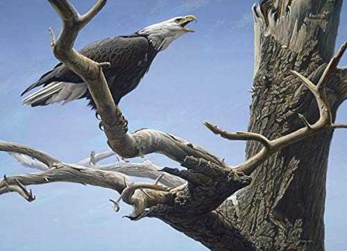 Call Of The Wild - Cobble Hill puzzle collectible [Barcode 625012850599] - Main Image 1