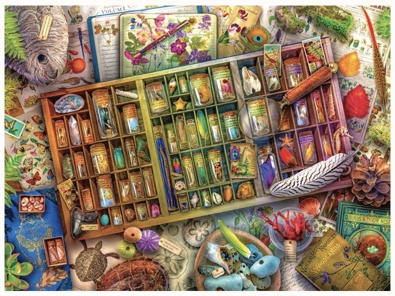 Today Is Art Day Vincent Van Gogh Sunflowers