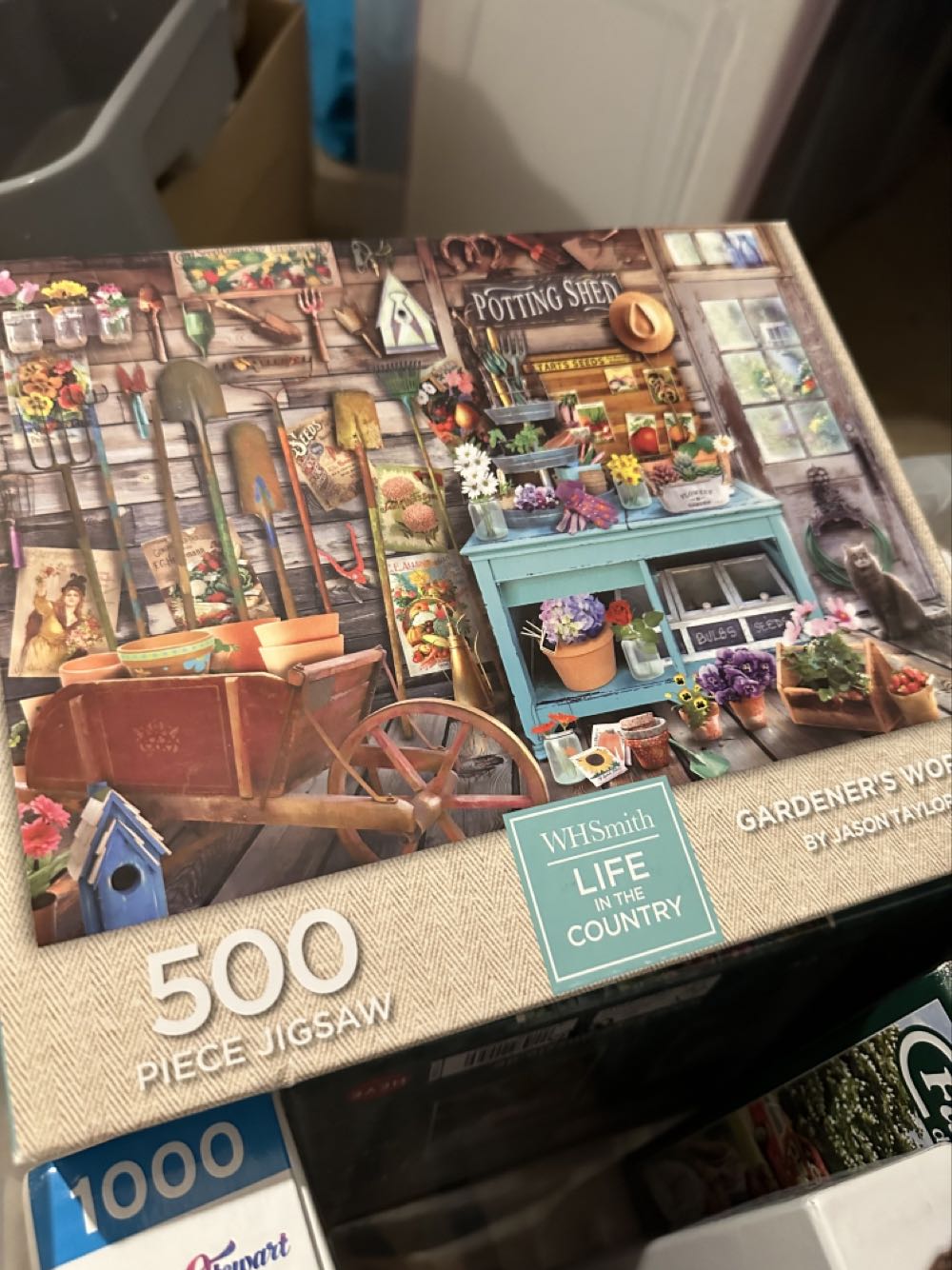 Wild American Animals