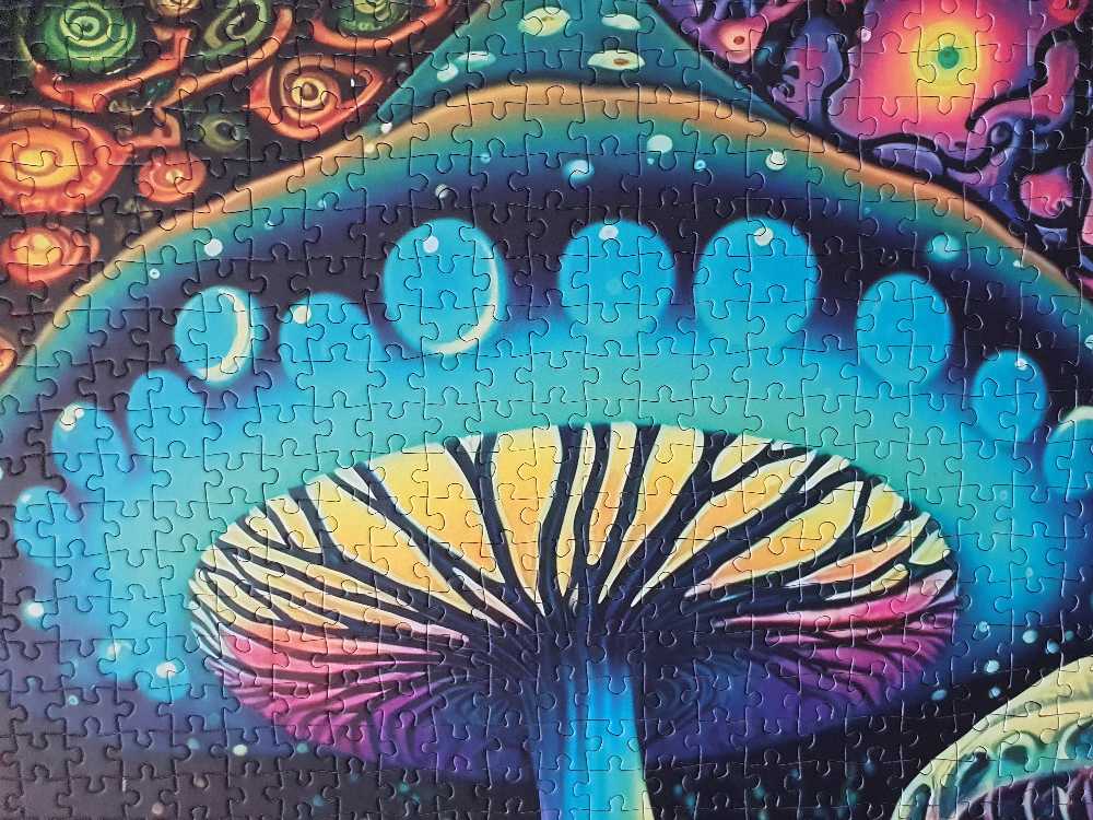 Fungi Wonderland - Yazz Puzzle puzzle collectible [Barcode 8699375067736] - Main Image 3