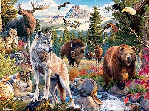 D&D Fantasy Roleplaying Game