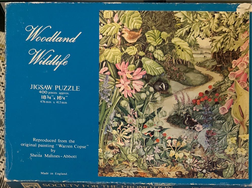 Waiting For Puzzle Piece