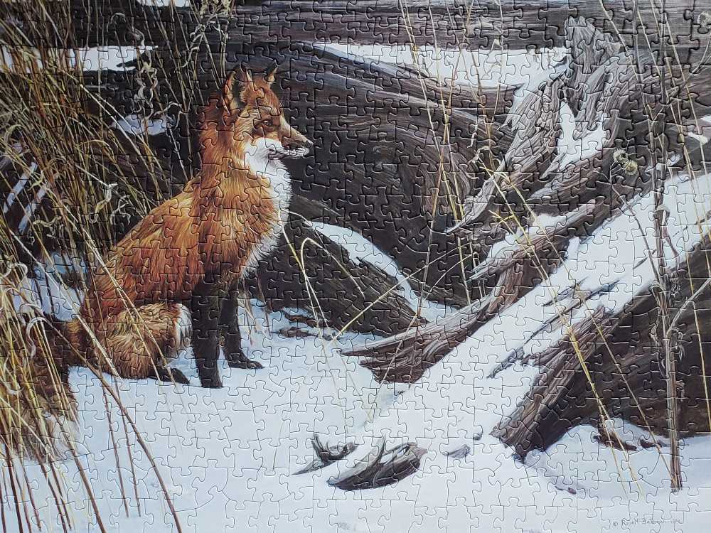 Wily And Wary (25BC-00NN) - Cobble Hill puzzle collectible [Barcode 625012521178] - Main Image 2