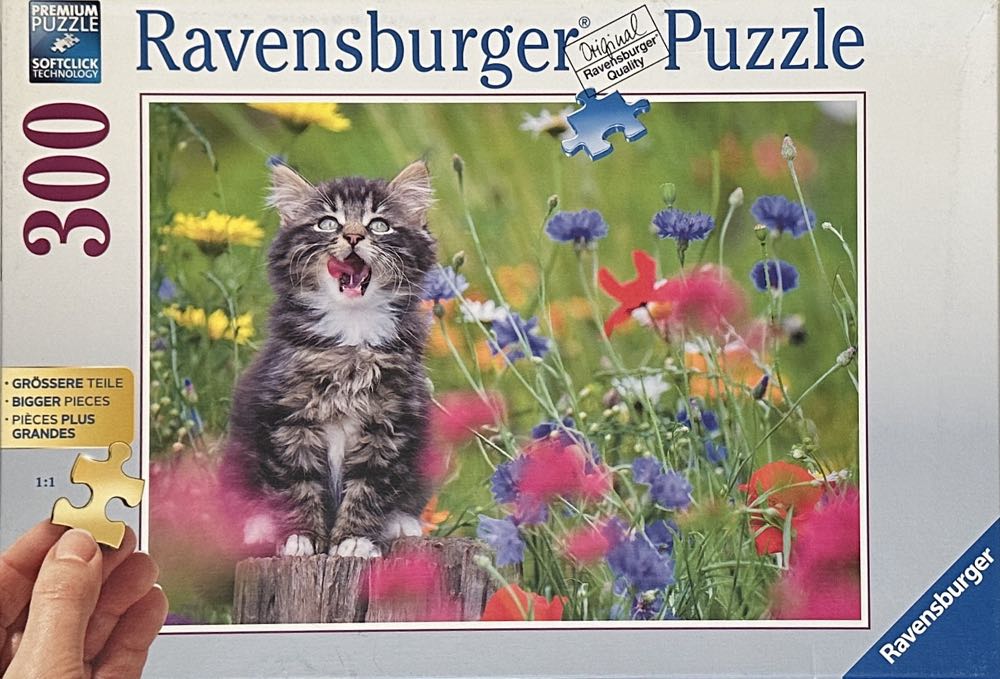 Woolly Hats & Wellies