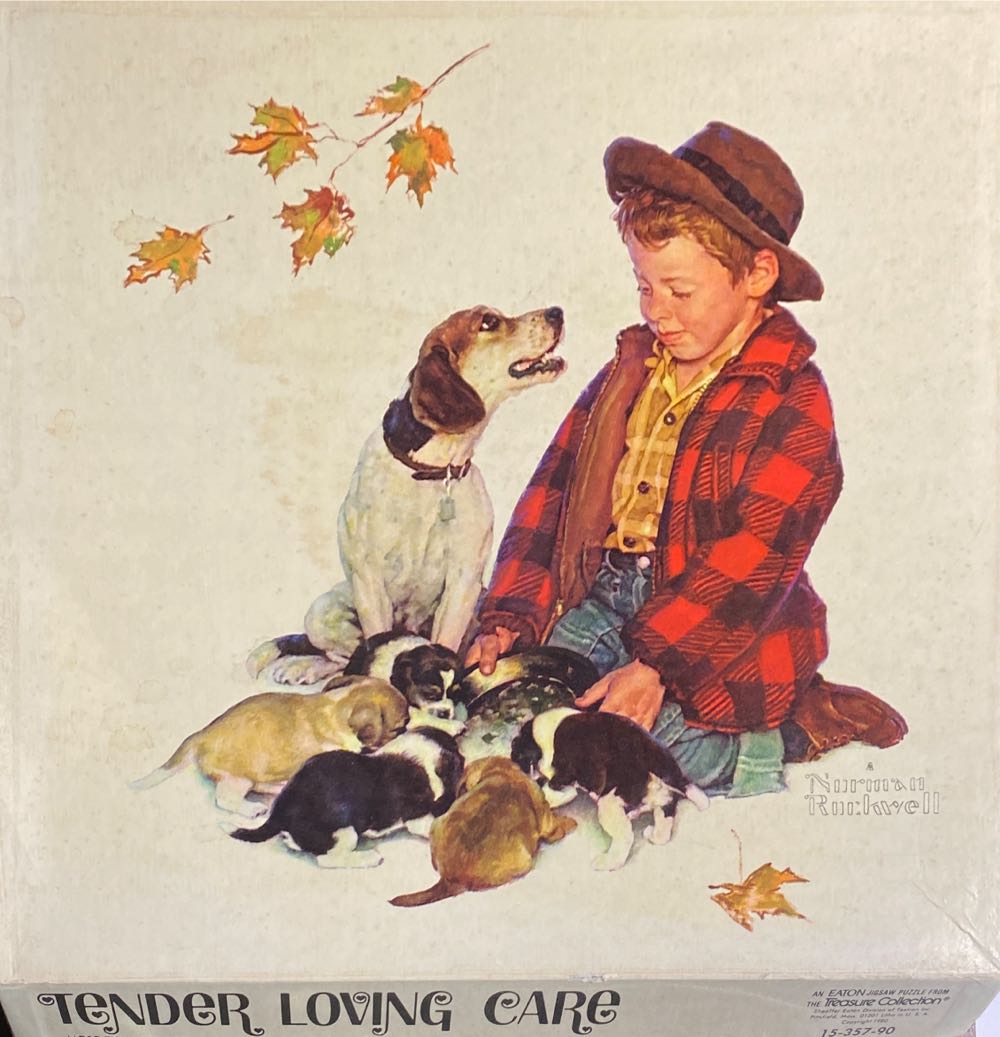 West Virginia University Mountaineer Field At Milan Puskar Stadium