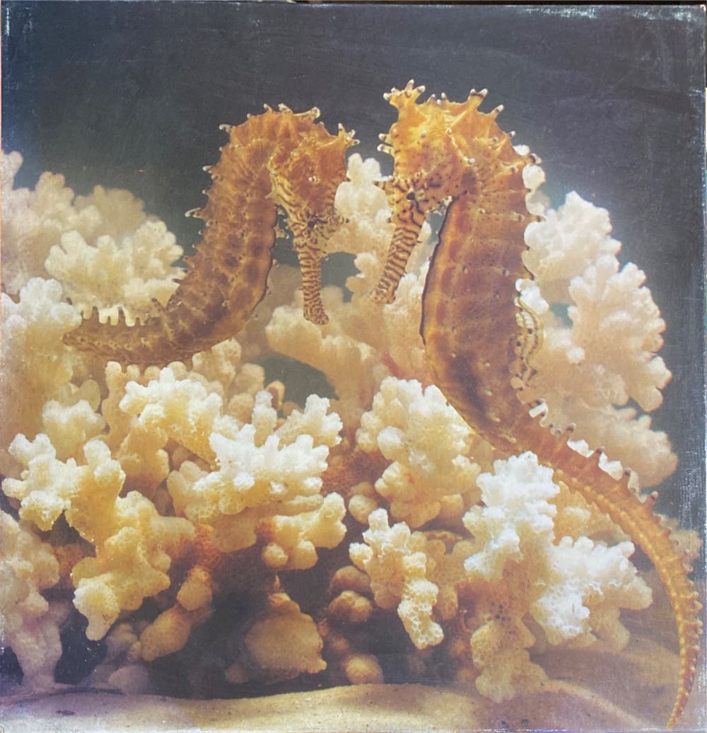 You Make the World a Lot Nicer!